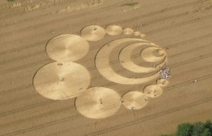 Episode 13 – Crop Circles and Wasted Wallabies